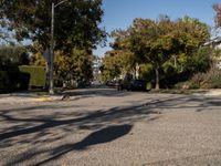 Residential Roads of Los Angeles, California