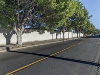 Residential Roads in Los Angeles with Tree Canopy
