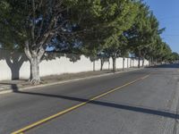 Residential Roads in Los Angeles with Tree Canopy