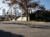 Residential Roadway Under Clear Skies in Los Angeles