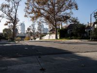 Residential Roadway Under Clear Skies in Los Angeles