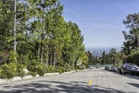 trees line the side of a residential street in the daytime with clear skies above the horizon