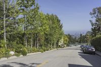 trees line the side of a residential street in the daytime with clear skies above the horizon