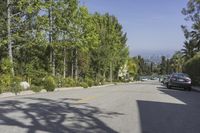 trees line the side of a residential street in the daytime with clear skies above the horizon