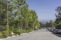 trees line the side of a residential street in the daytime with clear skies above the horizon