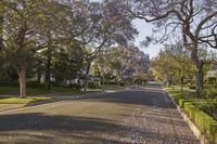 Residential Street in California: Under a Clear Sky