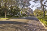 Residential Street in California: Under a Clear Sky