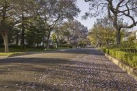 Residential Street in California: Under a Clear Sky