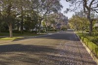 Residential Street in California: Under a Clear Sky