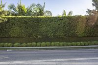 a parking meter is shown on the side of the road by a hedges wall that includes several trees and bushes