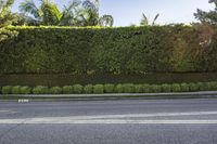 a parking meter is shown on the side of the road by a hedges wall that includes several trees and bushes