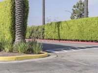 Residential Street in Los Angeles: Green Grass and Clear Sky