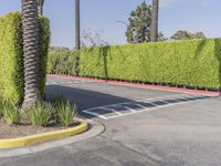 Residential Street in Los Angeles: Green Grass and Clear Sky