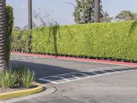 Residential Street in Los Angeles: Green Grass and Clear Sky