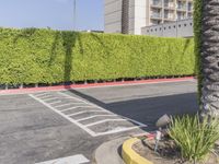 Residential Street in Los Angeles: Green Grass and Clear Sky