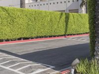 Residential Street in Los Angeles: Green Grass and Clear Sky