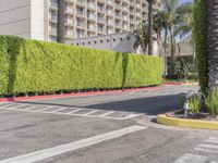 Residential Street in Los Angeles: Green Grass and Clear Sky