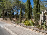 a street with stone brick sidewalks and bushes on either side of it and trees near the road