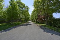 an empty, street in a neighborhood with trees on both sides and benches at the curb