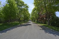 an empty, street in a neighborhood with trees on both sides and benches at the curb