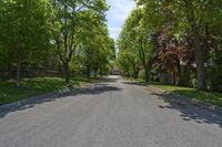 an empty, street in a neighborhood with trees on both sides and benches at the curb