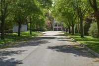 an empty, street in a neighborhood with trees on both sides and benches at the curb