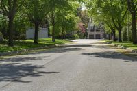 an empty, street in a neighborhood with trees on both sides and benches at the curb