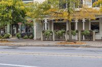 the street is lined with plants on each side of it and people walking by in the background