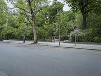 the tree is full of trees on both sides of the street, which are on each side of a sidewalk