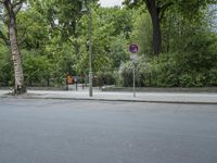 the tree is full of trees on both sides of the street, which are on each side of a sidewalk