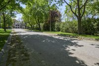 a street lined with lots of trees in a residential setting area of the city of toronto