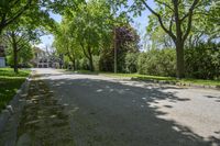 a street lined with lots of trees in a residential setting area of the city of toronto