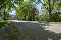 a street lined with lots of trees in a residential setting area of the city of toronto