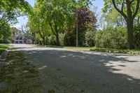 a street lined with lots of trees in a residential setting area of the city of toronto