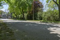 a street lined with lots of trees in a residential setting area of the city of toronto