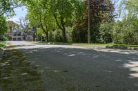 a street lined with lots of trees in a residential setting area of the city of toronto