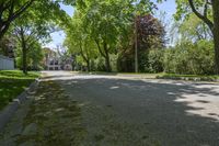 a street lined with lots of trees in a residential setting area of the city of toronto