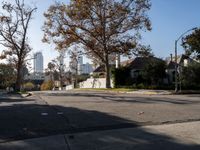 Residential Streets of Los Angeles, California
