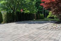 a brick walkway leading up to a driveway lined with trees and shrubs outside of a house