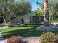 a large palm tree stands in a green yard surrounded by a small cactus garden and pink flowers