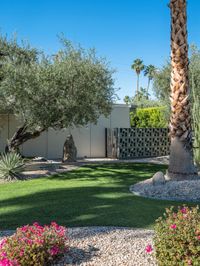 a large palm tree stands in a green yard surrounded by a small cactus garden and pink flowers