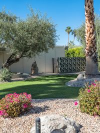 a large palm tree stands in a green yard surrounded by a small cactus garden and pink flowers