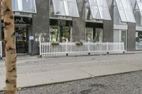 this is the sidewalk of a city in europe, where the shops are located and some people have their dog and some bicycles