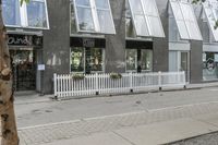 this is the sidewalk of a city in europe, where the shops are located and some people have their dog and some bicycles