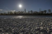 sunlight shines on pebbles along a river bank in front of trees and bushes in the distance