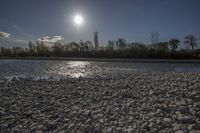 sunlight shines on pebbles along a river bank in front of trees and bushes in the distance