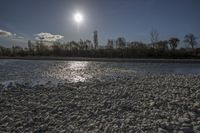 sunlight shines on pebbles along a river bank in front of trees and bushes in the distance