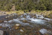 the river flowing over rocks through a dense forested area next to a forest - covered hillside