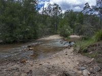 a river flows through the forested, rocky terrain on the trail to the water source