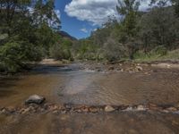 A River Landscape: Exploring the Riparian Zone and Geological Phenomenon